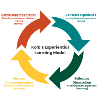 Kolb's Experiential Learning Model